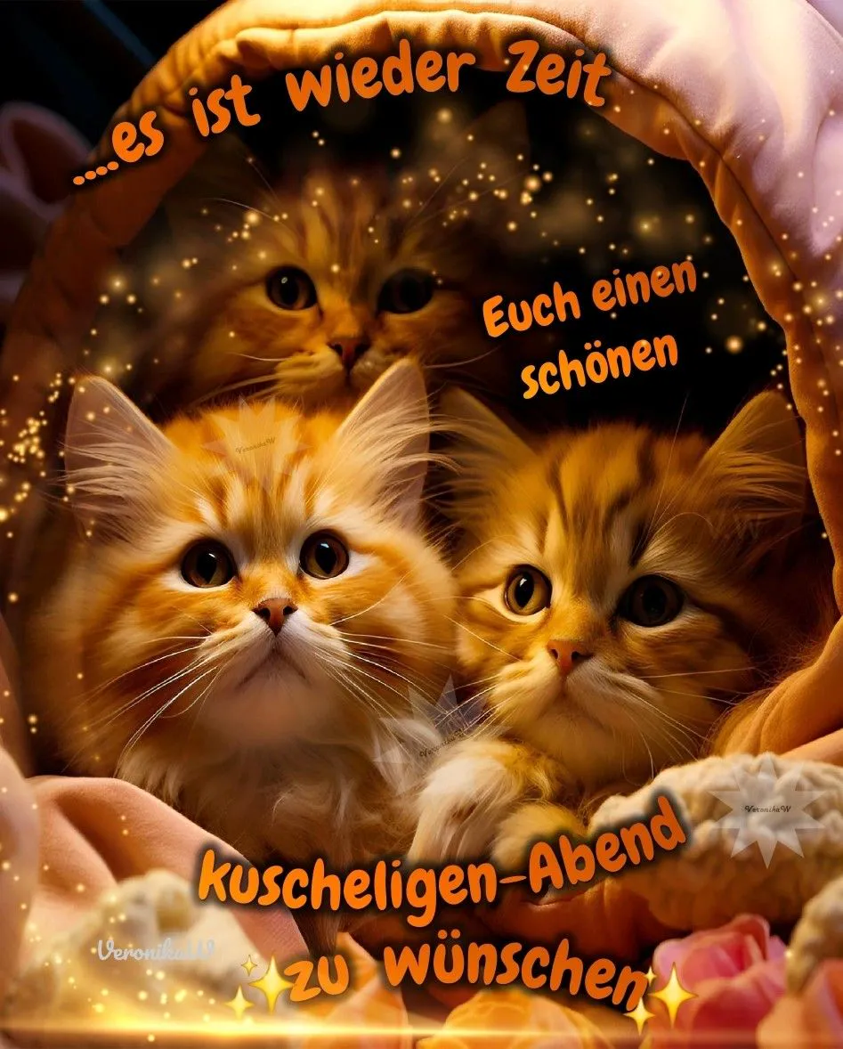 Ein Bild mit drei niedlichen Kätzchen in einer Höhle, umgeben von goldenen Sternen, mit dem Text …es ist wieder Zeit Euch einen schönen kuscheligen-Abend zu wünschen